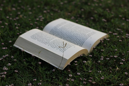 book