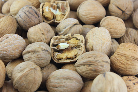 nutsの写真素材