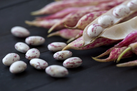 Red spotted kidney beansの写真素材