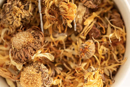 dry calendula plant on white backgroundの写真素材