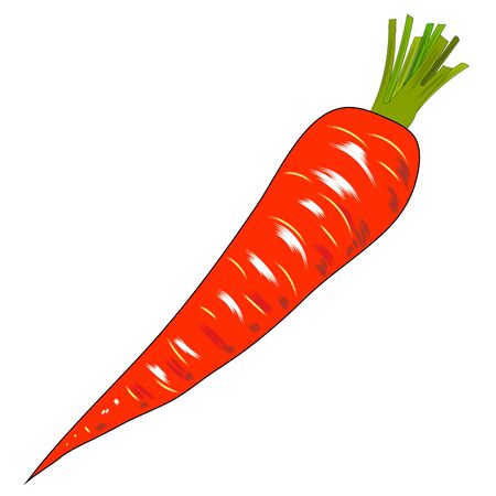 Carrot in flat design on white background. illustrationの写真素材