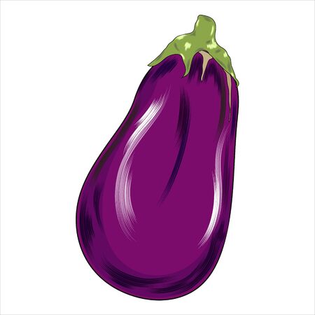 Eggplant, vegetable flat icon, sign, One eggplant colorful pictogram isolated on white. Symbol, logo illustration. Flat style design.の写真素材