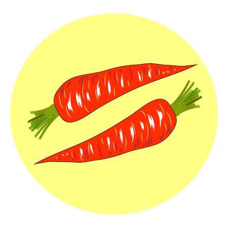 Carrot in flat design on white background. Vector illustration..の写真素材