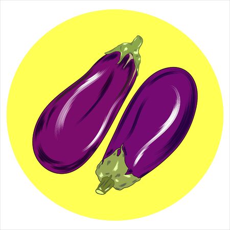 Eggplant, vegetable flat icon,  sign, One eggplant colorful pictogram isolated on white. Symbol,  illustration.の写真素材