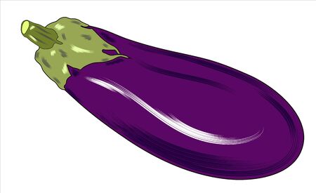 Eggplant, vegetable flat icon,sign, One eggplant colorful pictogram isolated on white. Symbol, logo illの写真素材