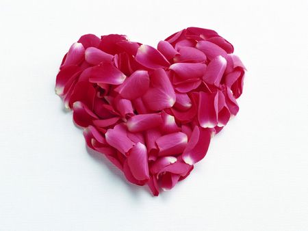 heart  from rose-pentalsの写真素材