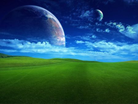 cosmos landscape Field の写真素材