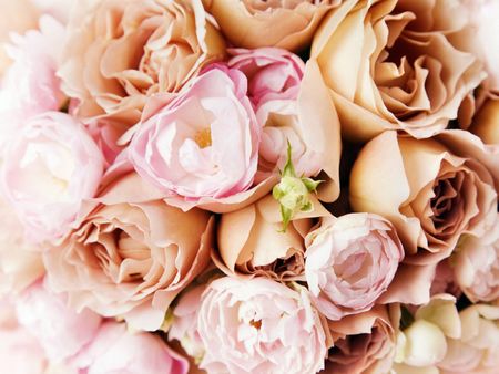 flowersの写真素材