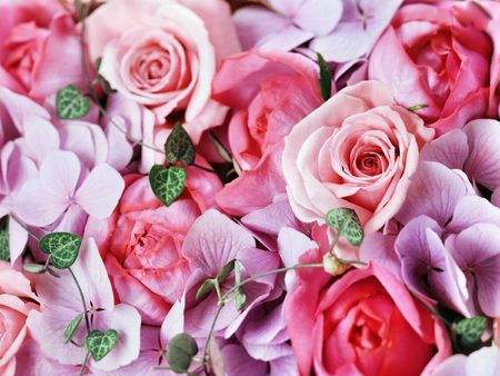  flowers の写真素材