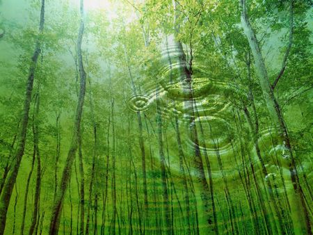 green water abstract, agua, backgrounds, color, drop, liquidの写真素材