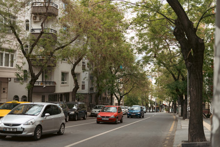 Beautiful sunset sky in ankara. street and catsのeditorial素材