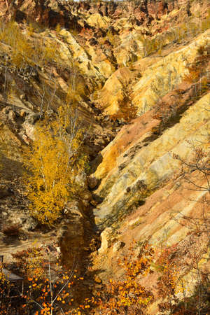 Natural yellow surface of earth. Autumn scene in Serbia. Texture composition.