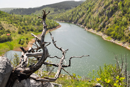 Creative nature composition of dry wood and river in background. Inspiration for spending day on mountain.の写真素材
