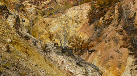 Natural yellow texture of earth. Serbian autuman scene. Minimal composition.の写真素材