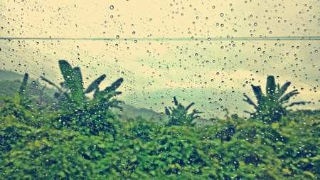 dropsのeditorial素材