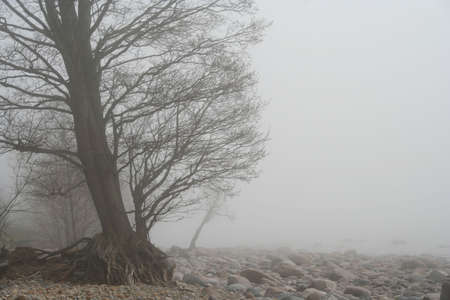 Misty day at seaの写真素材