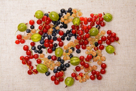 Red, white currants, blueberries and gooseberries on fabric background