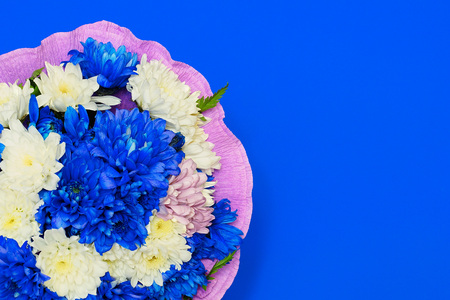 Bouquet of chrysanthemums on a blue background.greeting cardの写真素材