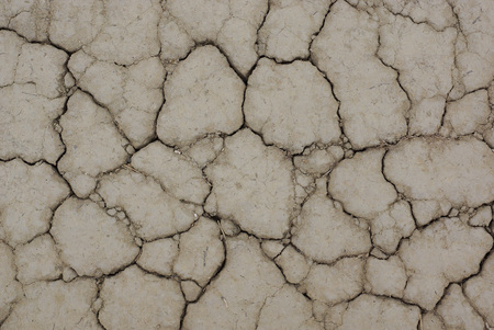 Drought. background of cracked soil.