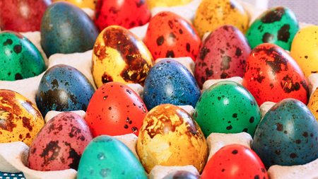 Multicolored quail eggs. Close-up. Easter background.の写真素材
