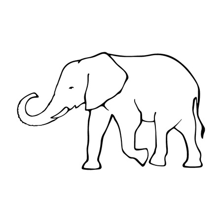 Vector illustration of hand drawn decorative elephantのイラスト素材