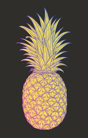 Hand drawn decorative pineapple. Stylized colorful fruit. Summer spring background, nature collection. Vector illustrationのイラスト素材
