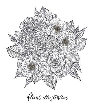 Rose and peonis flower hand drawn in lines. Black and white monochrome graphic doodle elements. Isolated vector illustration, template for designのイラスト素材