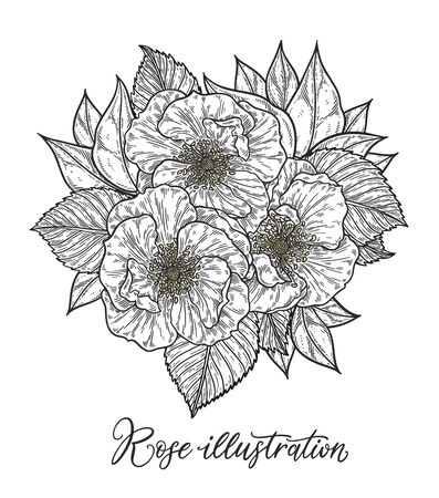 Roses and berries flower bouquet hand drawn in lines. Black and white monochrome graphic doodle elements. Isolated vector illustration, template for designのイラスト素材
