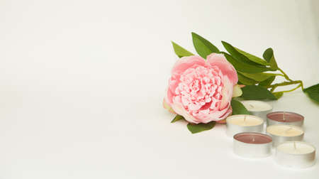 Blooming pink peony and aroma candles on a white background. Space for textの写真素材
