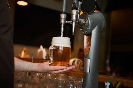 The bartender pours a beer in a beer cups. Draught beer.の写真素材