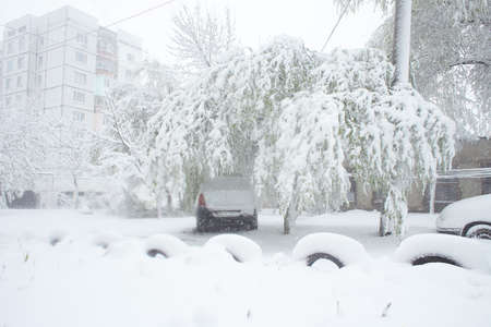 winter landscape with snow on trees. snowy branches. snowy fenceの写真素材