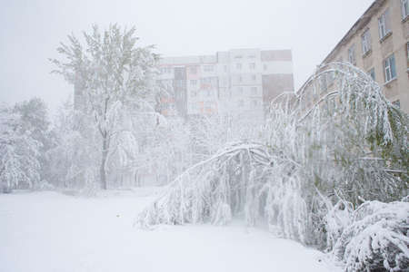 winter landscape with snow on trees. snowy branches. snowy fenceの写真素材