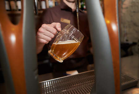 The bartender pours a beer in a beer cups. Draught beer.