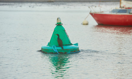 A bird sitting on a water buoy. Red marker buoy floating in the sea. seagull, beacon. Sunny late autumn afternoon.の写真素材