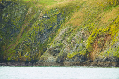 Rocks covered with moss on the sea island coast with gulls