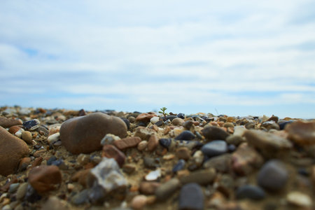 Round rocks on the beach with blue sky and clouds in the background.