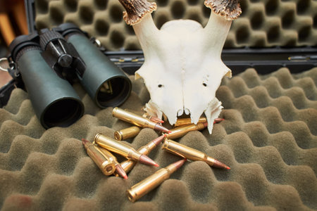 Binocular and bullets on the dark background.