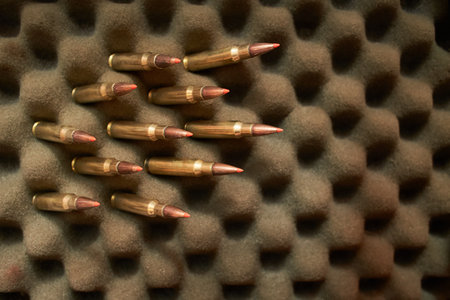 Deer head trophy and bullets on the dark background.