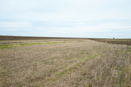 Plowy field. Agricultural work in processing, cultivation of land. Farmers preparing land and...