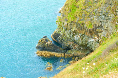 The cliff on the blue ocean waves and green grass hills and birds flying around.の写真素材
