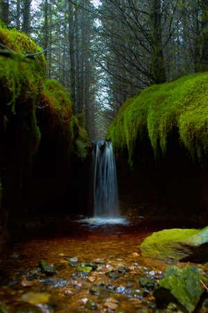 Small waterfall in wild forest with trees, grass and moss.