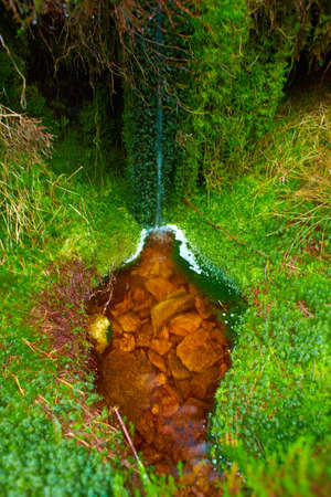 Small waterfall in wild forest with trees, grass and moss.