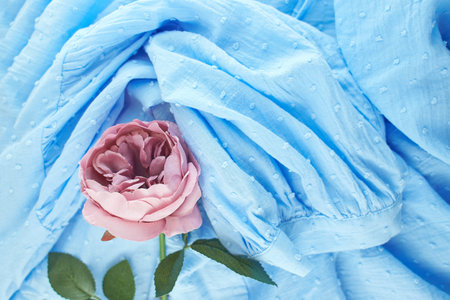 Blue cloth with vintage rose. Vintage background with blooming flower.の写真素材