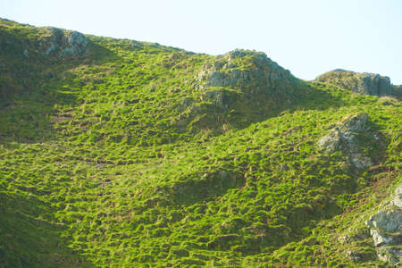 Moss on a rock face. Relief and texture of stone with patterns and moss. Stone natural background....