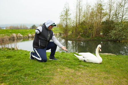 A disability man with beautiful swan on the lake bank.の写真素材
