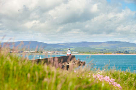 Wicklow lighthouse with blurred multiple Small Bright Pink Flowers on the Cliffs of the Irish Seaside.の写真素材