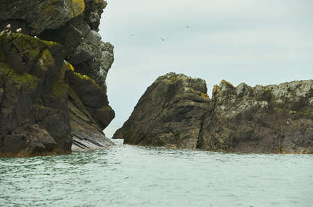 Rocks covered with moss on the sea island coast.