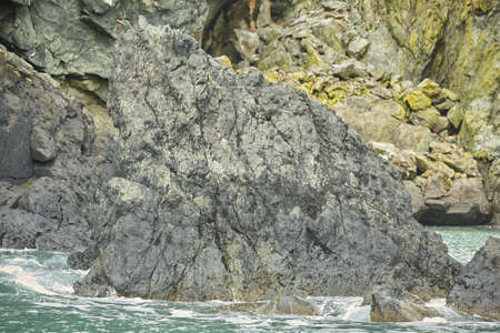Rocks covered with moss on the sea island coast.