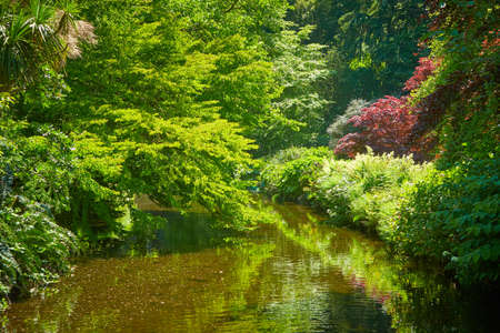 River are surrounded by amazing Avoca Garden with flowering plants of various colors in Wicklow, Ireland. Beautiful landscape.の写真素材