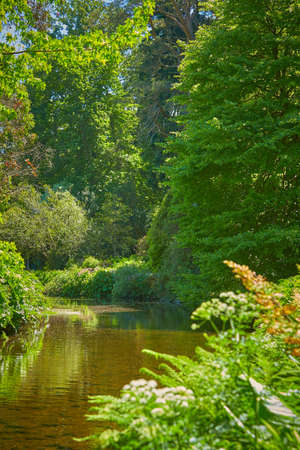 River are surrounded by amazing Avoca Garden with flowering plants of various colors in Wicklow, Ireland. Beautiful landscape.の写真素材